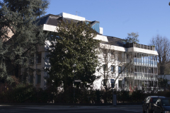 Foto-3